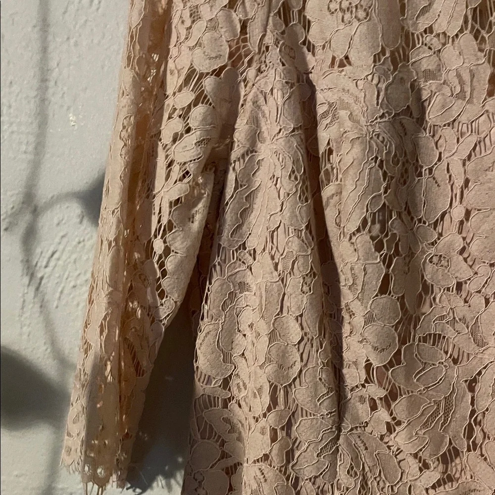 Eliza J Lace Long Sleeve Dress in Cream - Picture 5 of 8